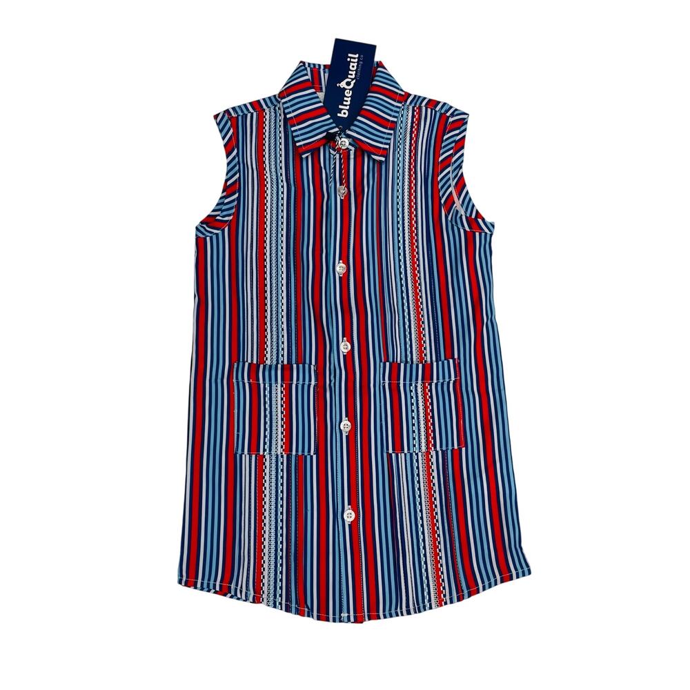 NWT Blue Quail 8 Liberty Stripe Sleeveless Dress